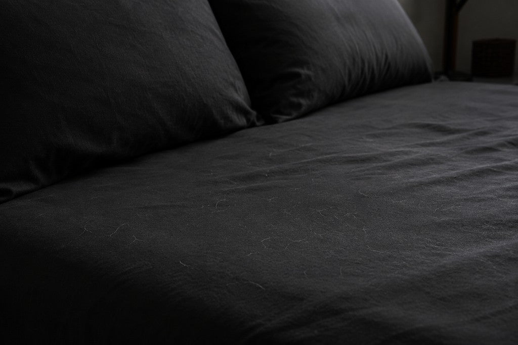 
CAMA — 
Antes